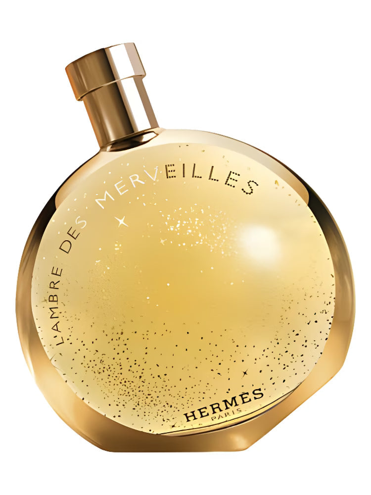 L' AMBRE DES MERVEILLES