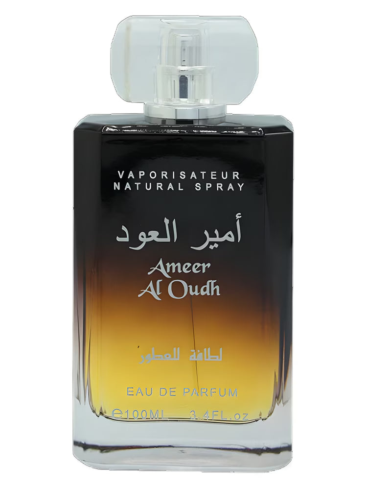AMEER AL OUDH