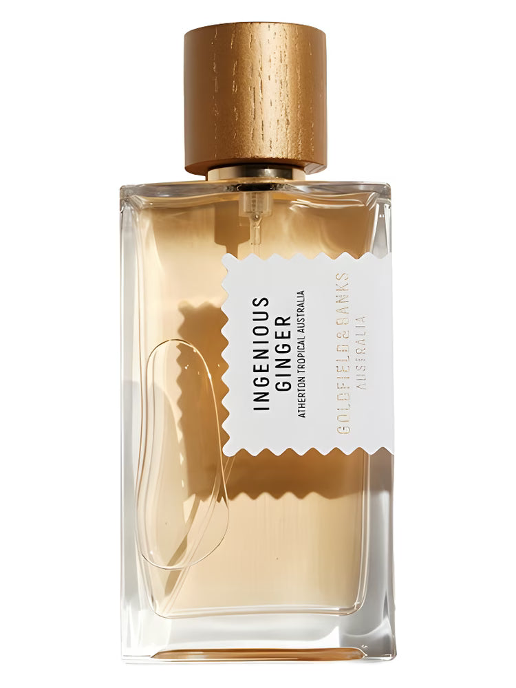 INGENIOUS GINGER